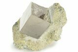 Natural Pyrite Cube In Rock - Navajun, Spain #227643-1